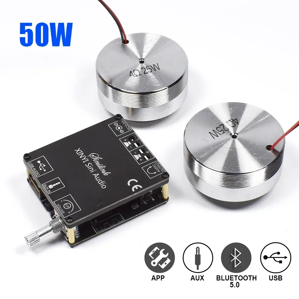2*25W Portable Stereo Vibratio - Home Cinema Beamer ulasan dan harga